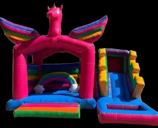 Unicorn Slide #15