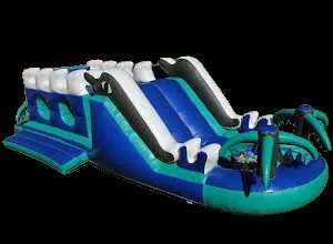 Dolphin Adventure #24